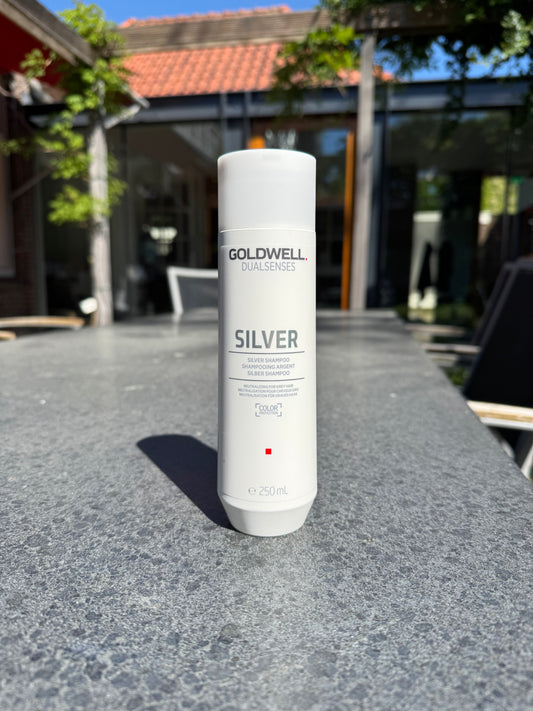 GoldWell Silver Shampoo