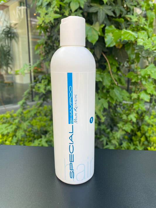 Hairconcept Special Shampoo no.1