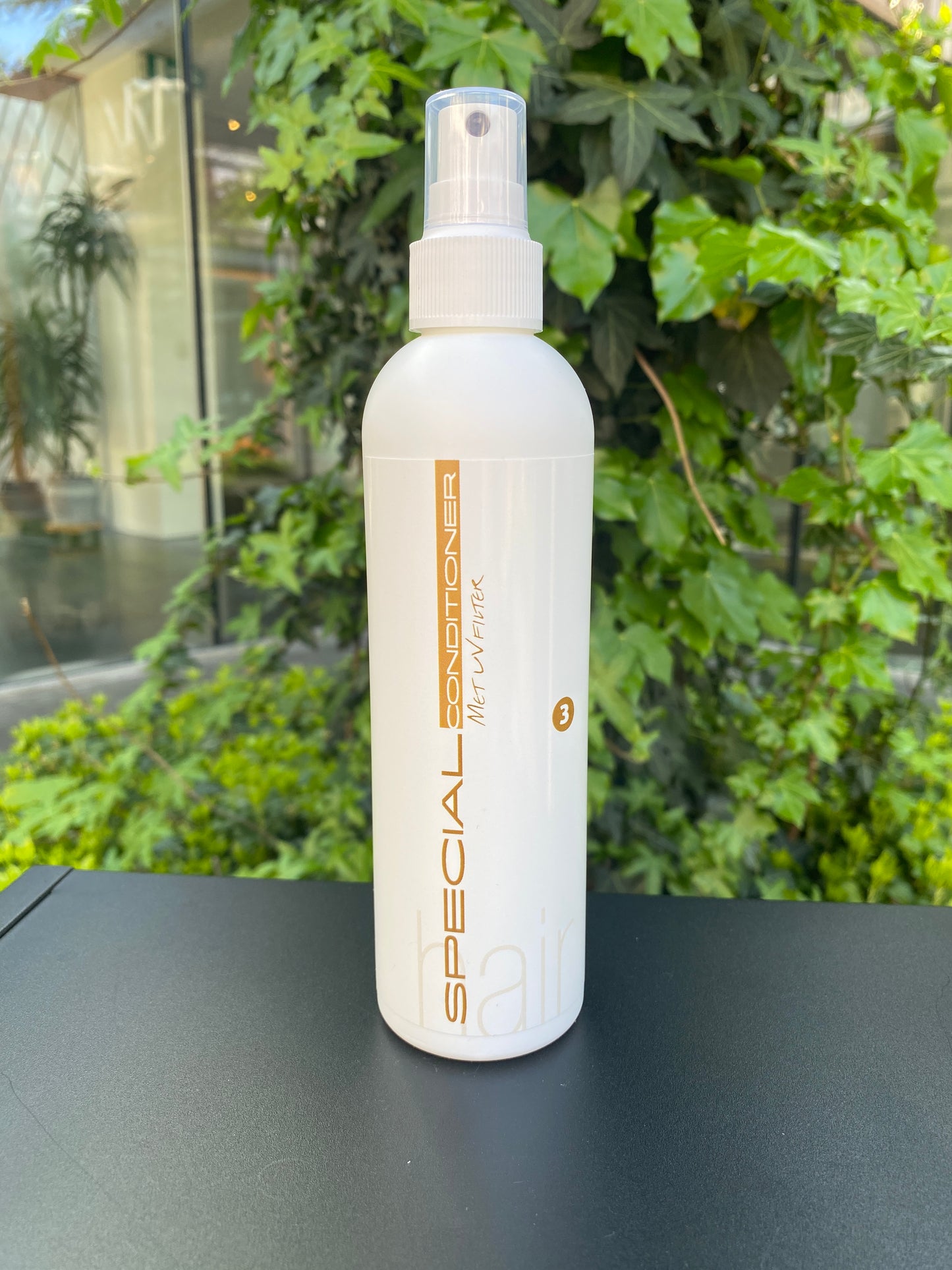 Hairconcept Special Conditioner no.3