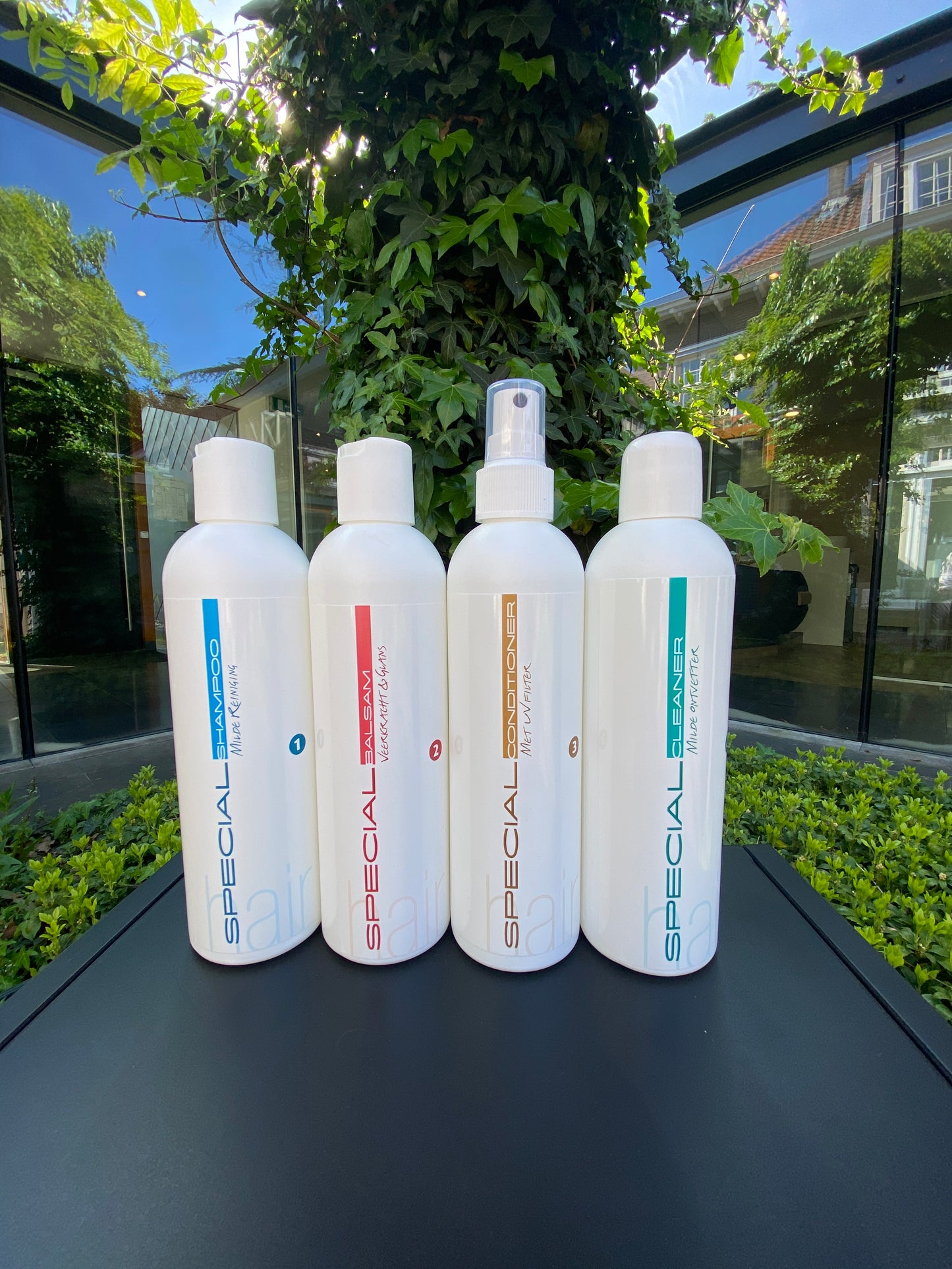 Hairconcept Special Conditioner no.3